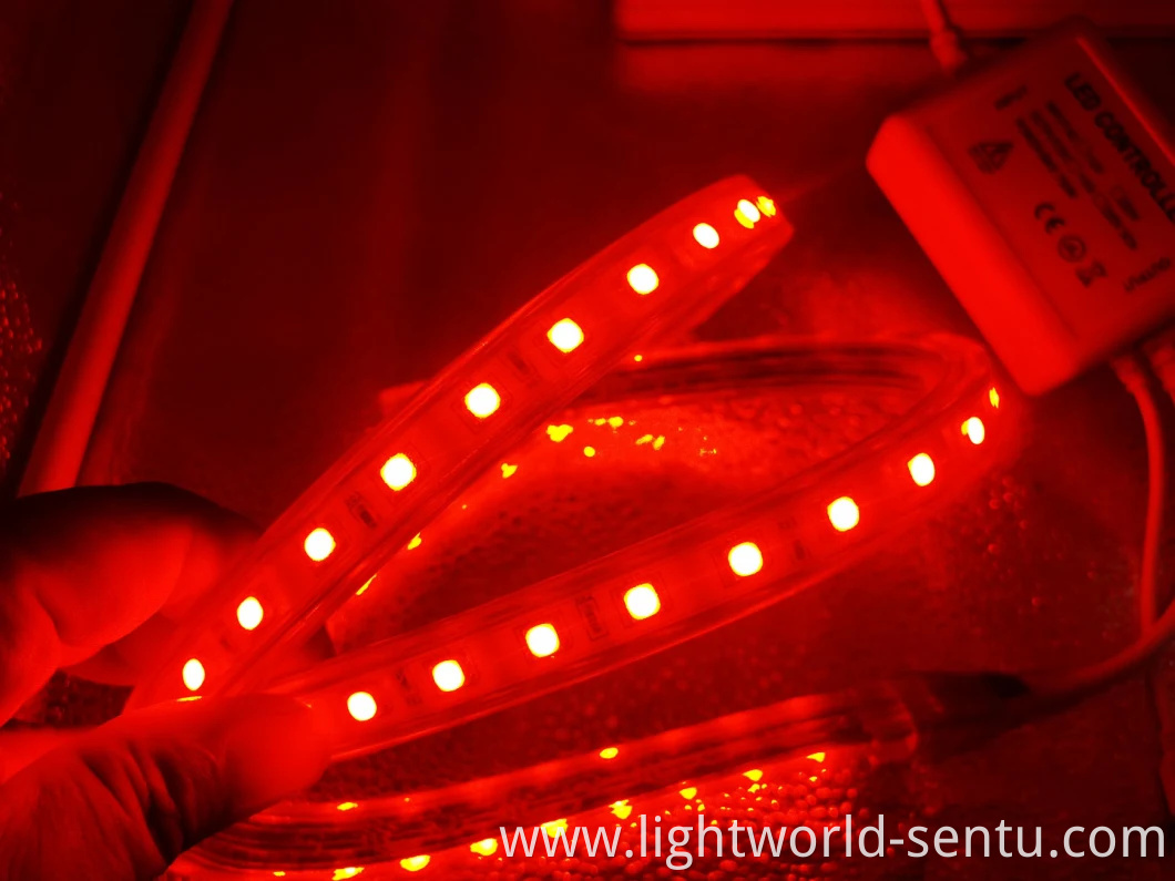 Waterproof SMD5050 AC120V Flexible LED Strip Light for Christmas Decoration